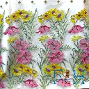 IMG_2963.webp