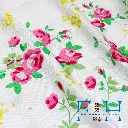 IMG_3164.webp