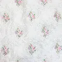 IMG_3362.webp