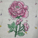 R-Rose