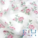 IMG_3923 (1).webp