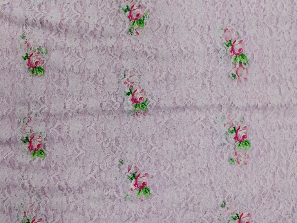 Chantilly With CS Rose -1 mtr