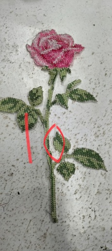 Rose Long Stem